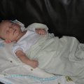 IMG_2427.jpg