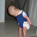 IMG_2986.jpg