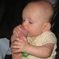 IMG_3155.jpg