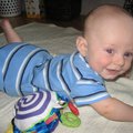 IMG_3178.jpg