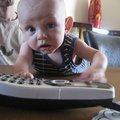 IMG_3337.jpg
