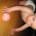 IMG_3940.jpg