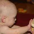 PC263236.jpg