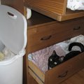 IMG_4196.jpg