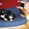 IMG_4224.jpg