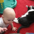 IMG_4372.jpg