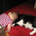 IMG_4444.jpg
