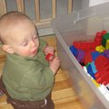 IMG_4507.jpg