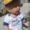 IMG_4661.jpg