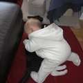 IMG_4787.jpg