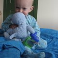 IMG_5098.jpg