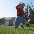 IMG_5186.jpg