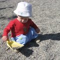 IMG_5194.jpg