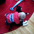 vid_lie_popo.avi