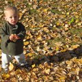 IMG_5556.jpg