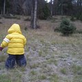 IMG_5653.jpg