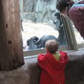 IMG_5918.jpg