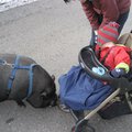 IMG_5938.jpg