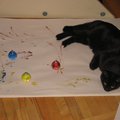 IMG_6029.jpg