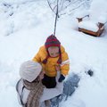 PC078247.jpg