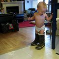 vid_boots.avi