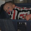 IMG_6219.jpg