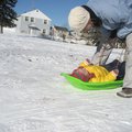 IMG_6360.jpg
