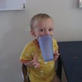IMG_6498.jpg