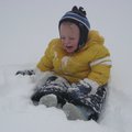 IMG_6511.jpg
