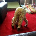 vid_flip_over.avi