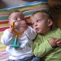 IMG_6741.jpg
