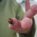 IMG_6751.jpg
