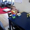 vid_eensy_weensy_spider.avi