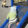 IMG_6874.jpg