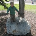 IMG_6979.jpg