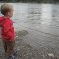 IMG_7266.jpg