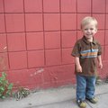 IMG_7288.jpg