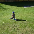 P1000310.jpg