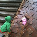 IMG_0601.jpg