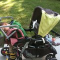 IMG_0795.jpg