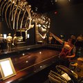 P7043310.jpg