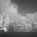 DSCN8127.jpg