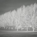 DSCN8178.jpg