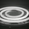 DSCN8207.jpg