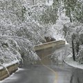 DSCN0066.JPG