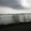 DSCN0303.JPG