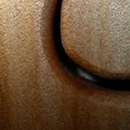 DSCN0742.JPG