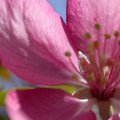 DSCN0477.JPG