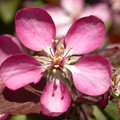 DSCN0484.JPG