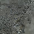 ice_2.jpg